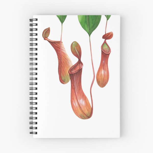 Item preview, Carnivorous plant designed and sold by PatronesKawai.
