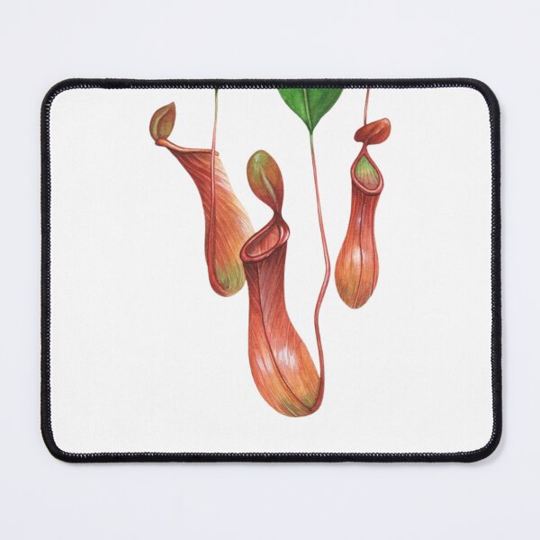 Item preview, Carnivorous plant designed and sold by PatronesKawai.