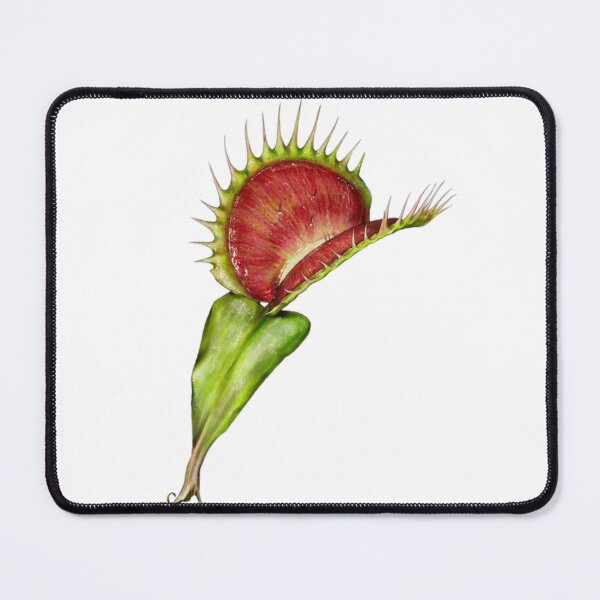 Item preview, Carnivorous plant designed and sold by PatronesKawai.
