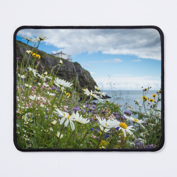 Item preview, Summer at Blackhead Lighthouse designed and sold by Nigel R Bell Photography.