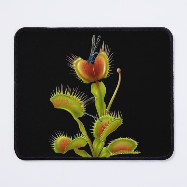 Item preview, Carnivorous Plant Copy in Black designed and sold by PatronesKawai.