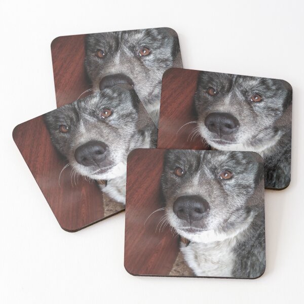 Item preview, chillout akita designed and sold by Marsik1982.