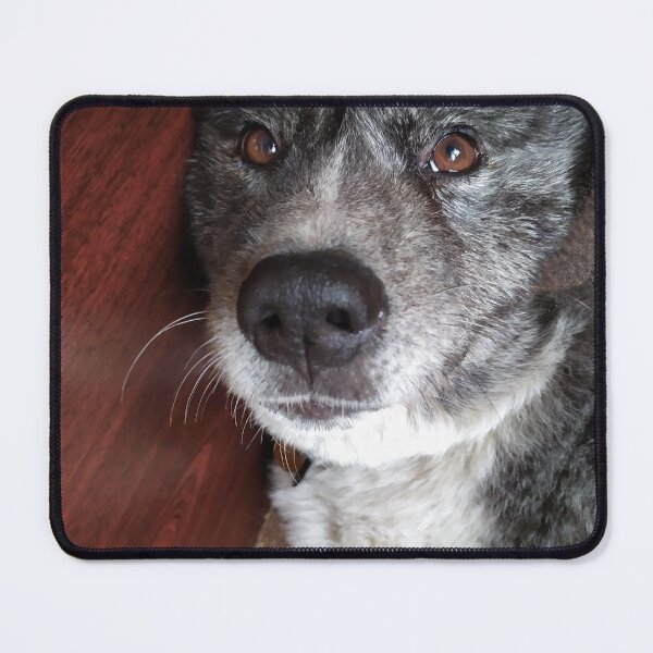 Item preview, chillout akita designed and sold by Marsik1982.
