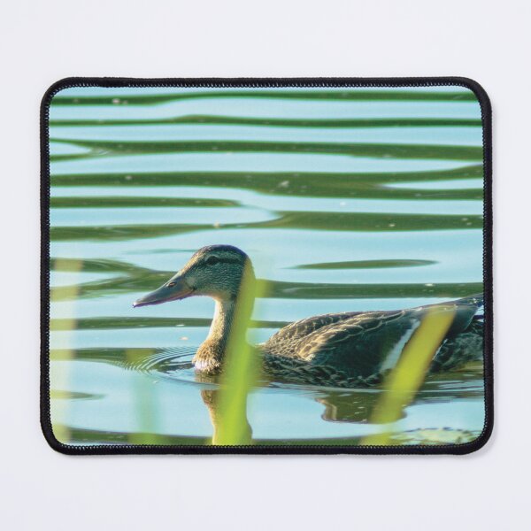 Item preview, #160 - Swimming Duck designed and sold by lewiswhatsisnme.