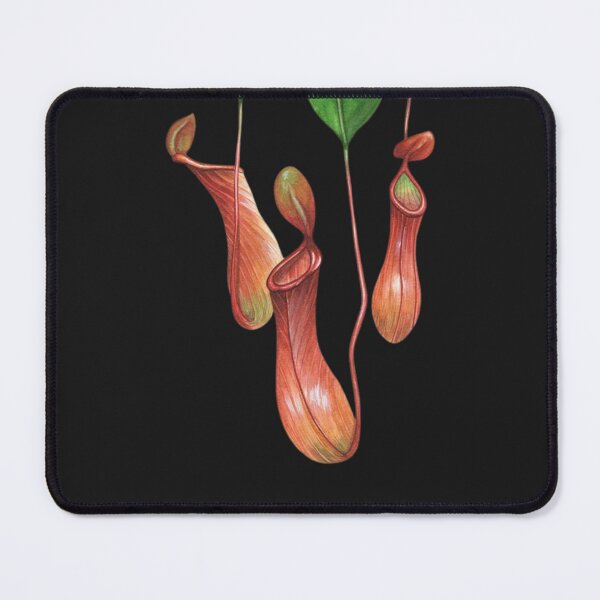 Item preview, Carnivorous Plant - black designed and sold by PatronesKawai.