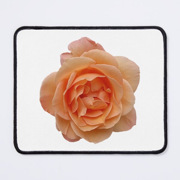 Item preview, Rose designed and sold by Oubaitory.