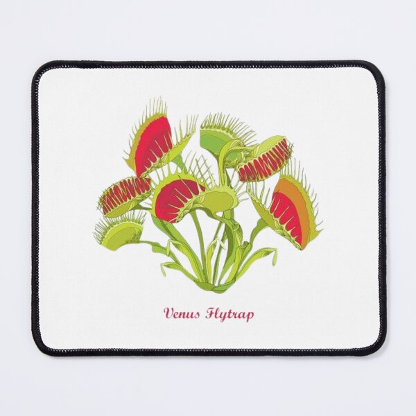 Item preview, Carnivorous plant designed and sold by PatronesKawai.