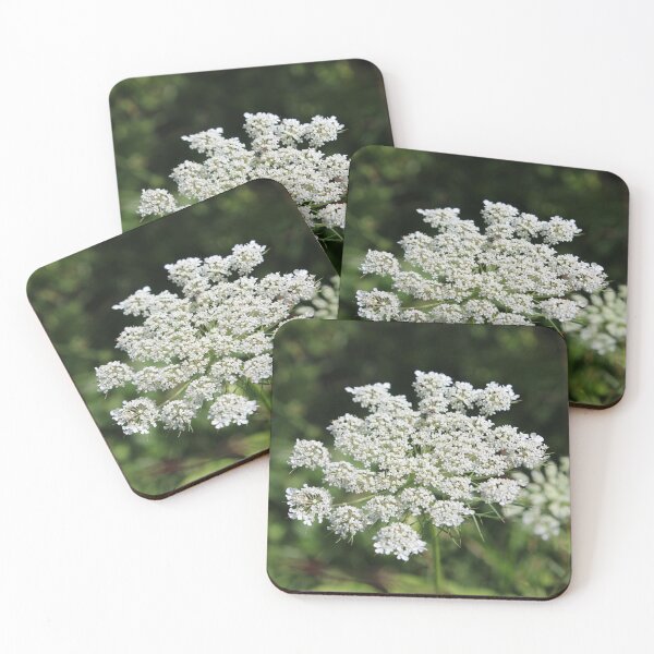 Item preview, Queen Annie's lace  designed and sold by McFleur's Lens.