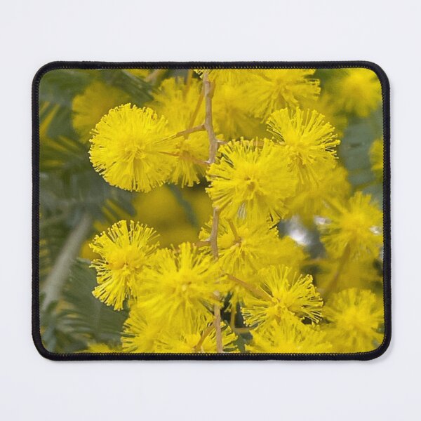 Item preview, Wattle  designed and sold by AnnasFloristry.