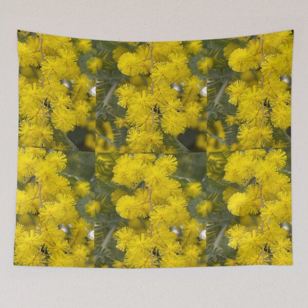 Item preview, Wattle  designed and sold by AnnasFloristry.