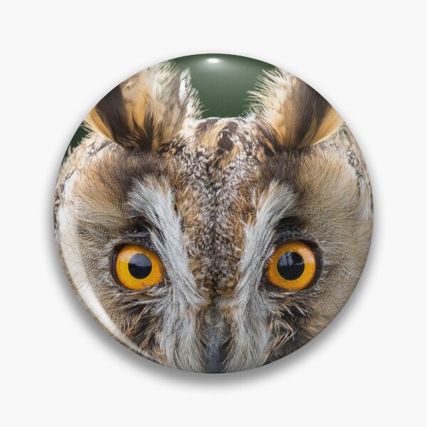 Item preview, Long Eared Owl 1 designed and sold by Nigel R Bell Photography.