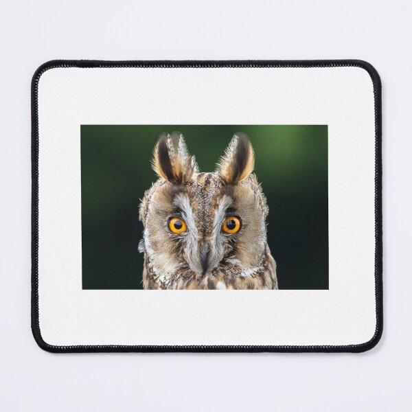 Item preview, Long Eared Owl 1 designed and sold by Nigel R Bell Photography.