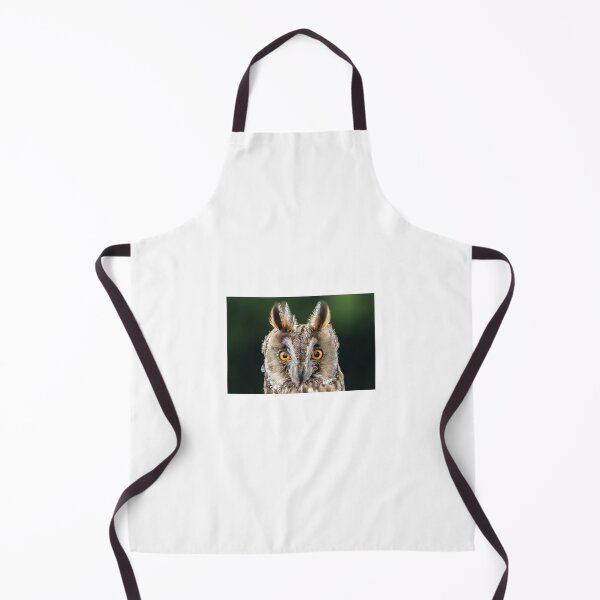 Item preview, Long Eared Owl 1 designed and sold by Nigel R Bell Photography.