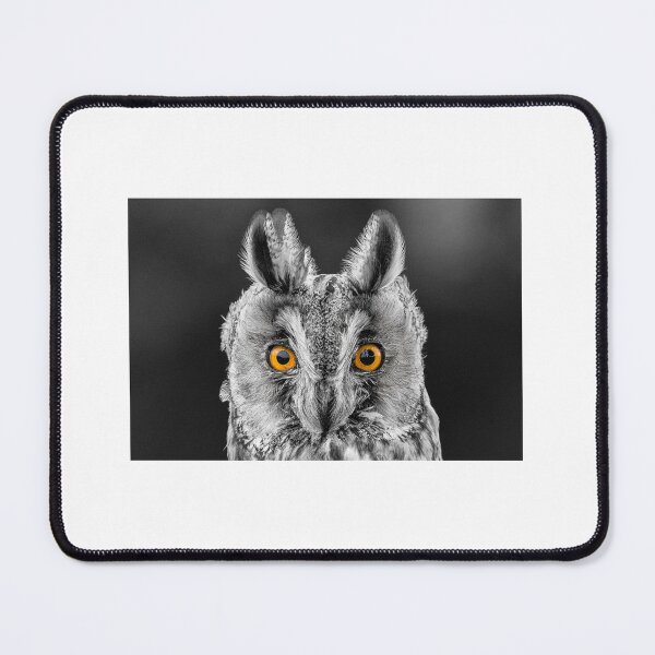Item preview, Long Eared Owl 2 designed and sold by Nigel R Bell Photography.
