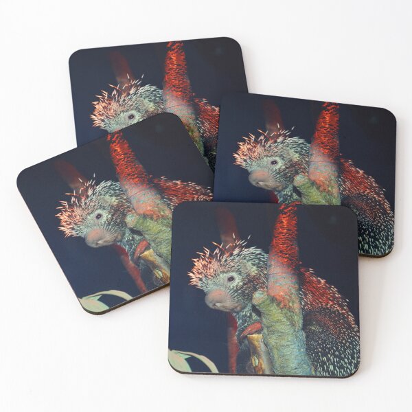 Item preview, Brazilian Porcupine  designed and sold by Savannah Gibbs.