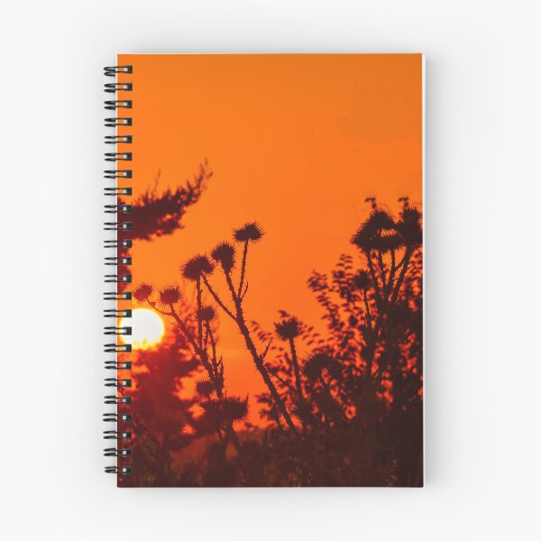 Item preview, sunset among thistles designed and sold by Fotoboom.