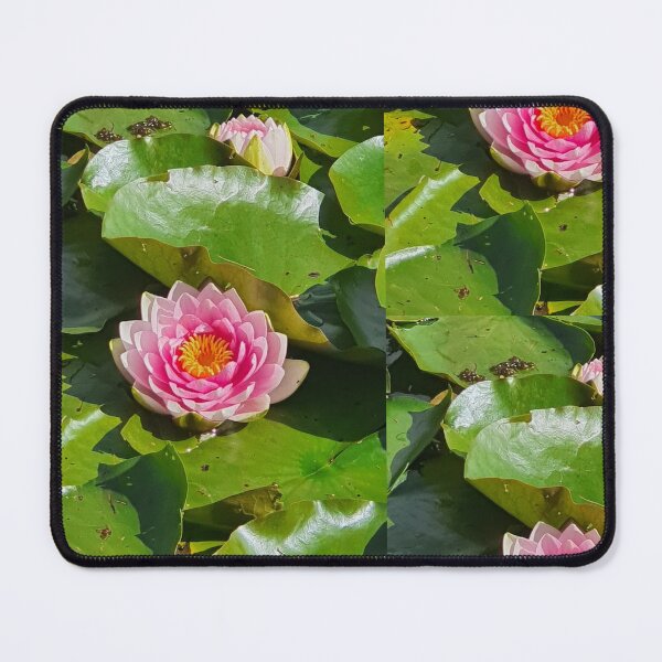 Item preview, Pink waterlily photograph  designed and sold by esvb.