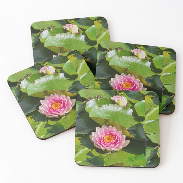 Item preview, Pink waterlily photograph  designed and sold by esvb.