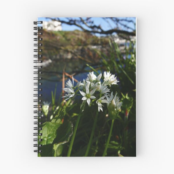 Item preview, Ramsons (Allium ursinum) designed and sold by IOMWildFlowers.