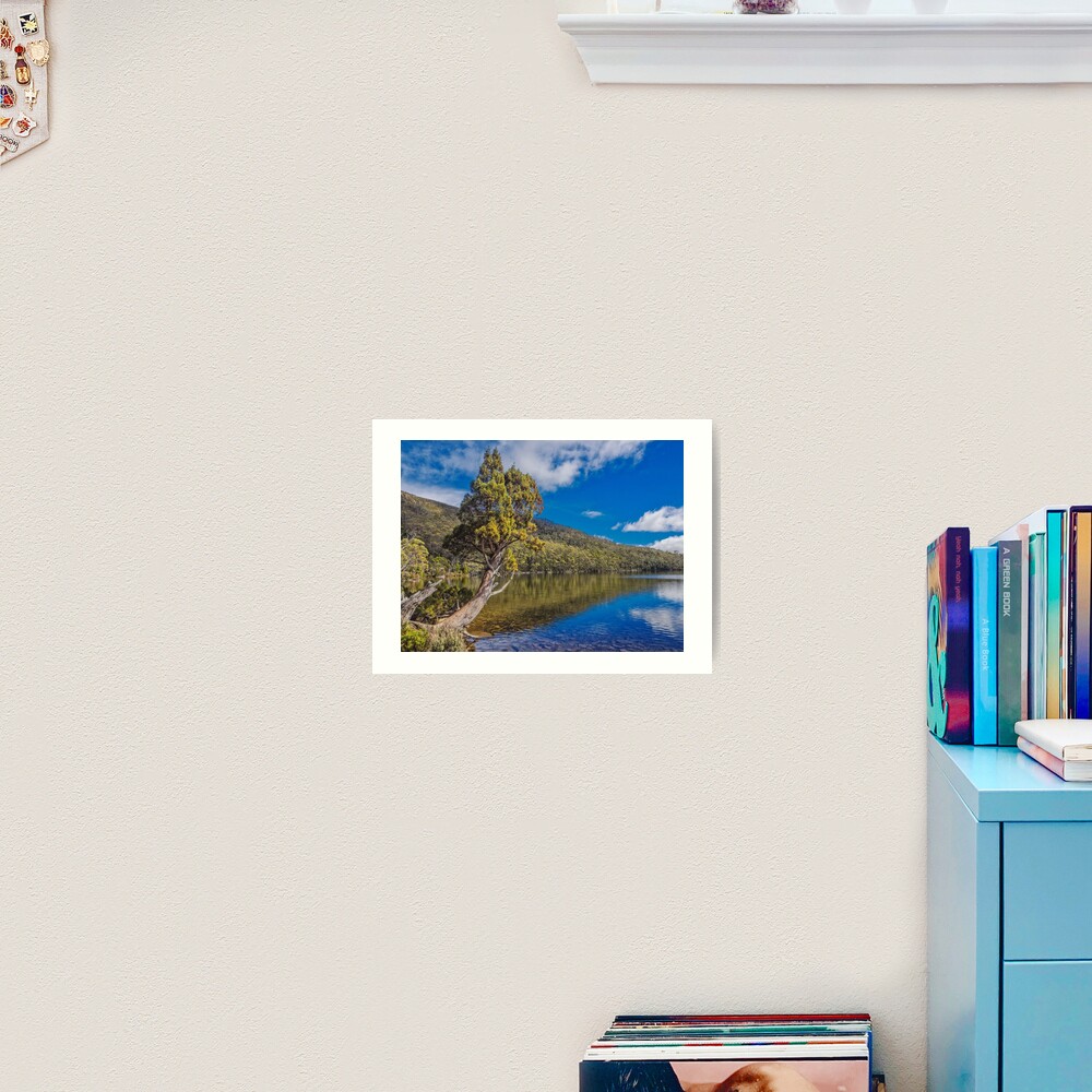 Lake Dobson Art Print