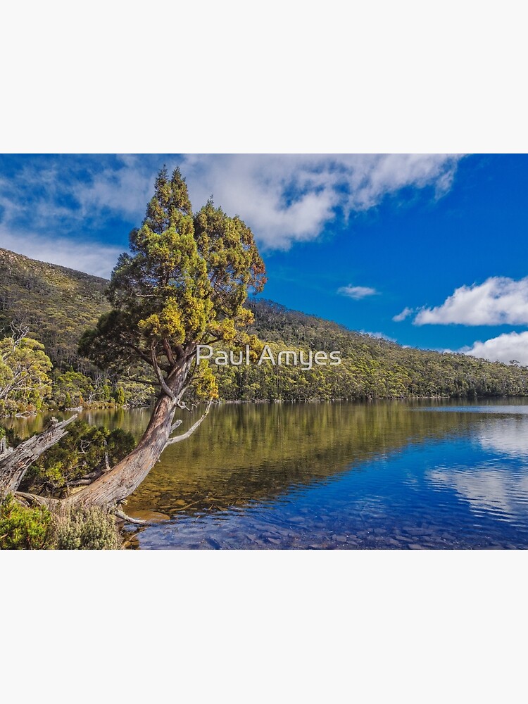 Lake Dobson by AmyesPhotograph