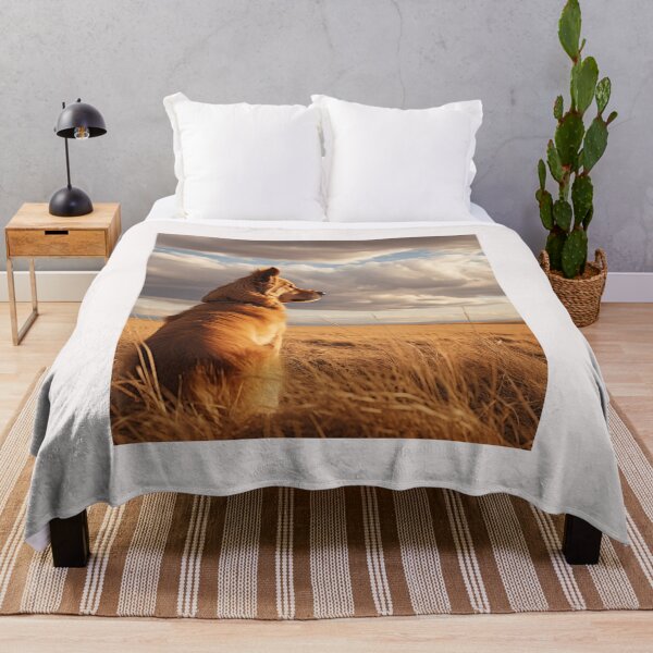Item preview, A Chinook Dog on a Windy Day designed and sold by Samuelsboro.