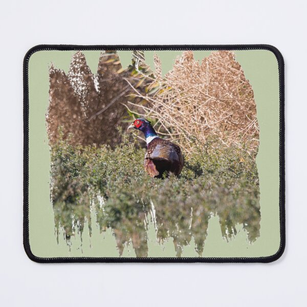 Item preview, Pheasant Foraging designed and sold by CarolM.