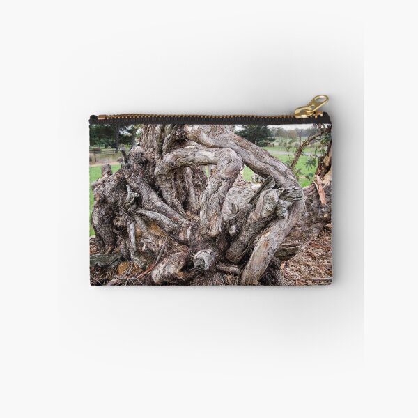Item preview, Twisted Tree Trunk (in Canberra/ACT/Australia) (1) designed and sold by Wolf Sverak Photography.