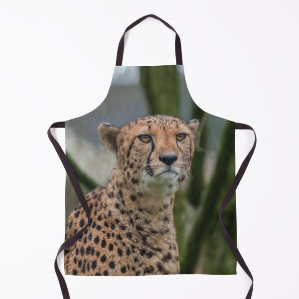 Item preview, Eyes of the Predator Cheetah in Focus designed and sold by rawshutterbug.
