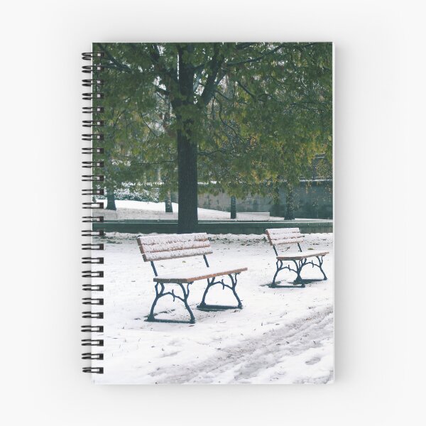 Item preview, Empty park on a cold day designed and sold by riku05830.