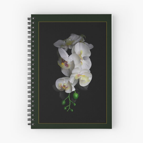 Item preview, Orchids designed and sold by Keith's Photo Artistry.