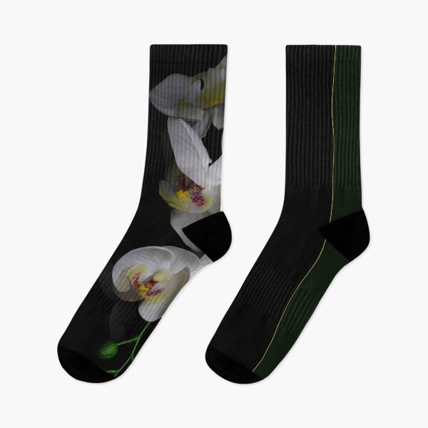 Item preview, Orchids designed and sold by Keith's Photo Artistry.