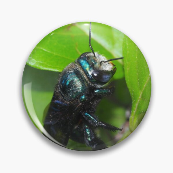 Item preview, Save the wild bee Xylocopa aerata designed and sold by BeeBabette.