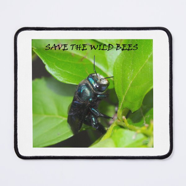 Item preview, Save the wild bee Xylocopa aerata designed and sold by BeeBabette.