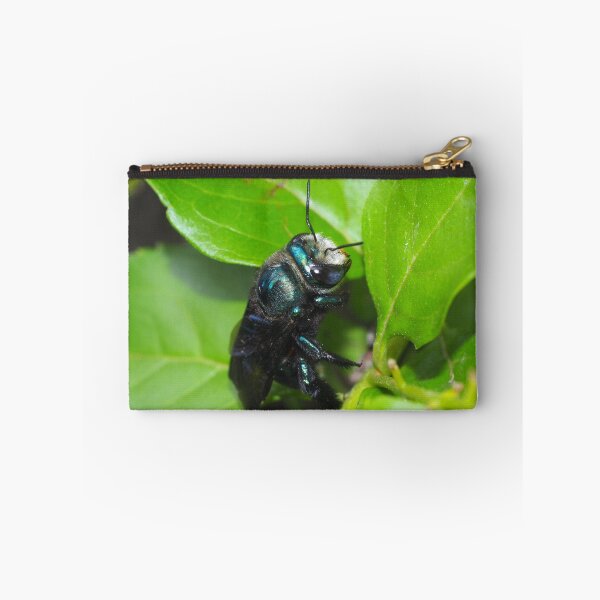 Item preview, Save the wild bee Xylocopa aerata designed and sold by BeeBabette.