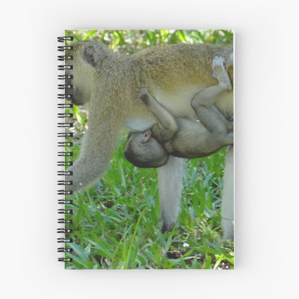 Item preview, Mother And Baby Going For A Walk - Monkey - Kenya - Africa designed and sold by exploramum.