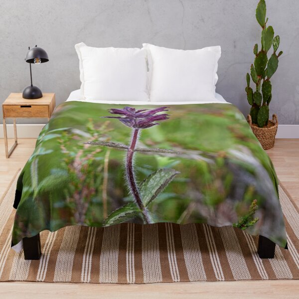 Item preview, Alpine bartsia designed and sold by Jouko Lehto Photography.