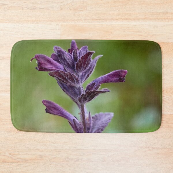 Item preview, Alpine bartsia close up designed and sold by Jouko Lehto Photography.