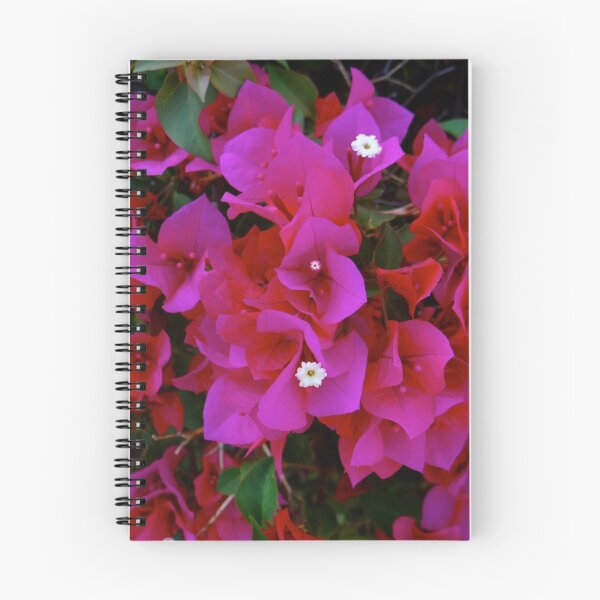 Item preview, Bougainvillea Pink Flowers - Kenya Africa designed and sold by exploramum.