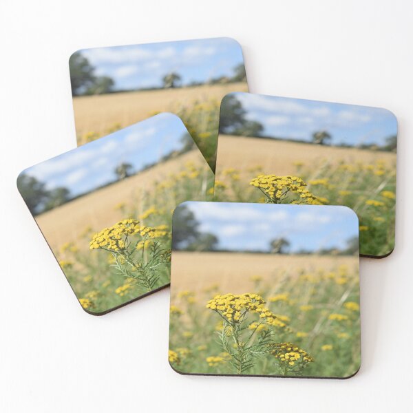 Item preview, Wild flower - field achillea designed and sold by CatherineMoore4.