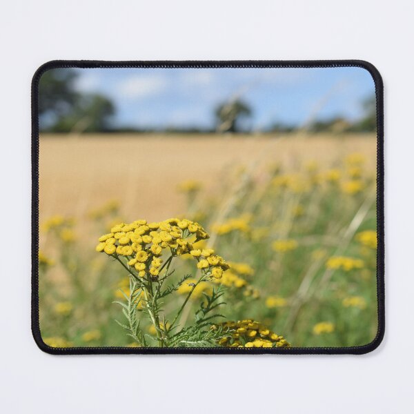 Item preview, Wild flower - field achillea designed and sold by CatherineMoore4.