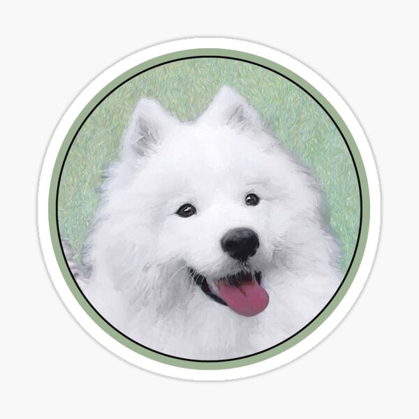Samoyed Sticker