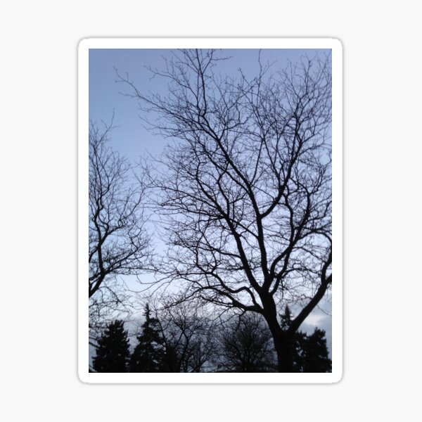 Item preview, Trees designed and sold by MimiHillier.