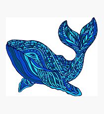 Blue whale Photographic Print