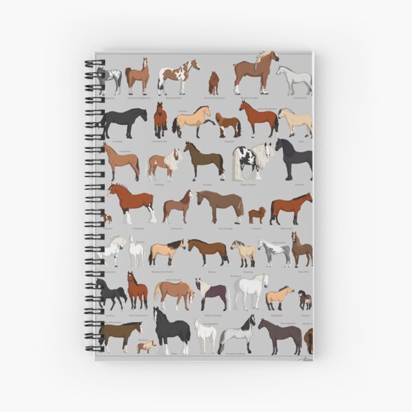 Aperçu de l'œuvre Races de chevaux courantes créée et vendue par Jordan Ramitt.