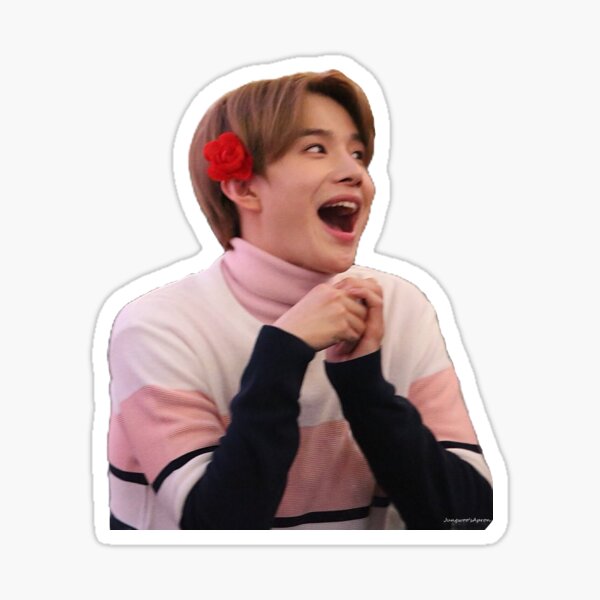 kpop aesthetic stickers redbubble