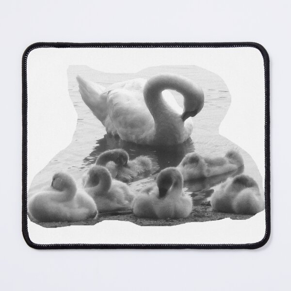 Item preview, Swan family in deep peace designed and sold by ZoffArt-Shop.