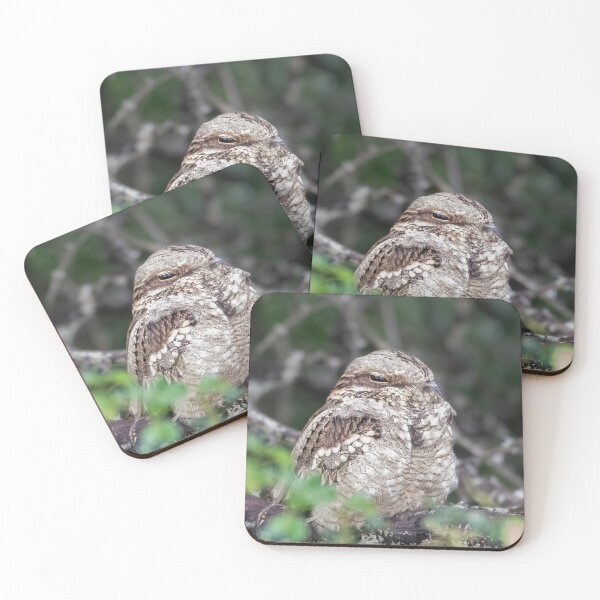 Item preview, Fiery-necked Nightjar designed and sold by MyAfricanSafari.