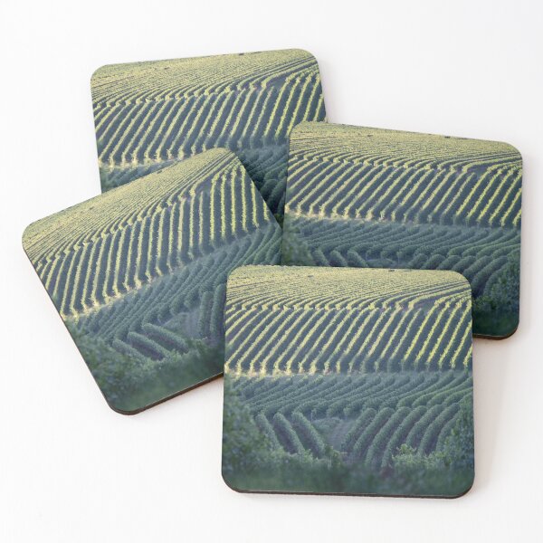 Item preview, Vineyards in the soft evening light designed and sold by rhosbahu.