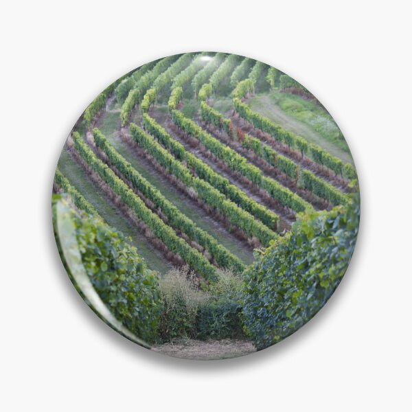 Item preview, Vineyards in precise arrangement designed and sold by rhosbahu.